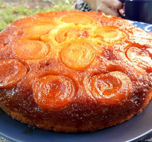 uppochnerkaka med aprikos